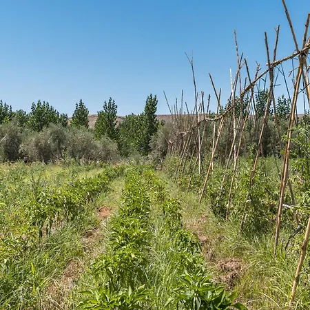 Gospodarstwo wiejskie La Higuera Benalúa de Guadix
